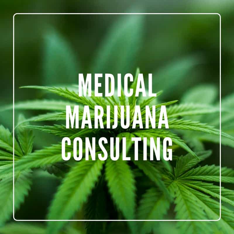 medical marijuana consulting