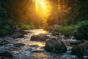 Physician guided ketamine therapy in Boulder